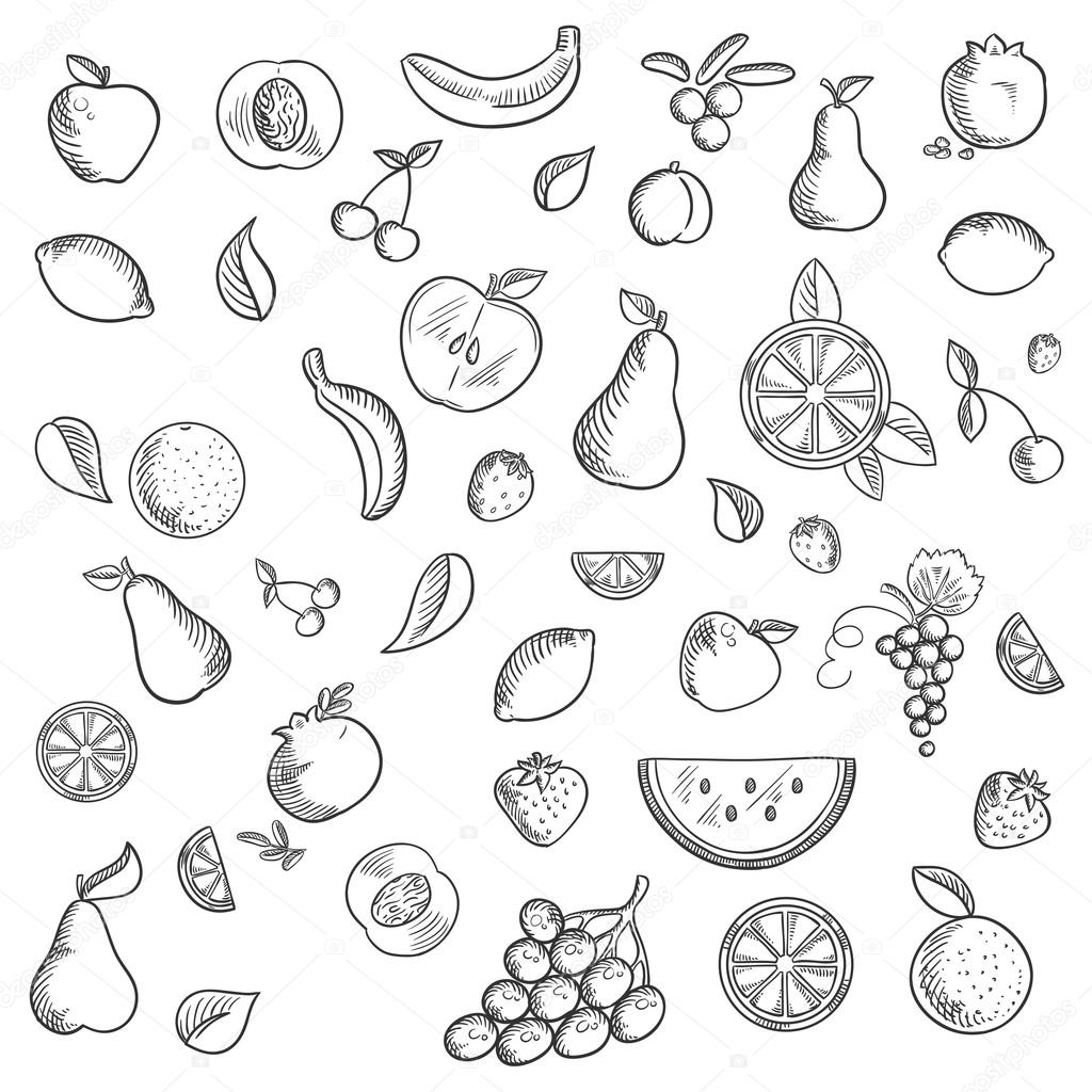 Fruits and berries sketched icons set