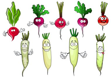 Red radish and white daikon vegetables