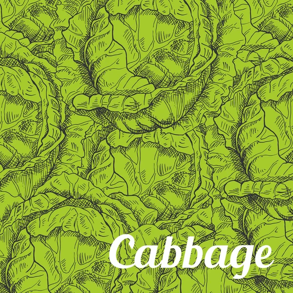 Cabbage vegetable background with leaves — Stockvector