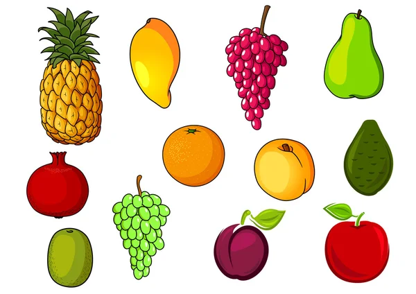 Frutas frescas tropicales y de jardín — Vector de stock