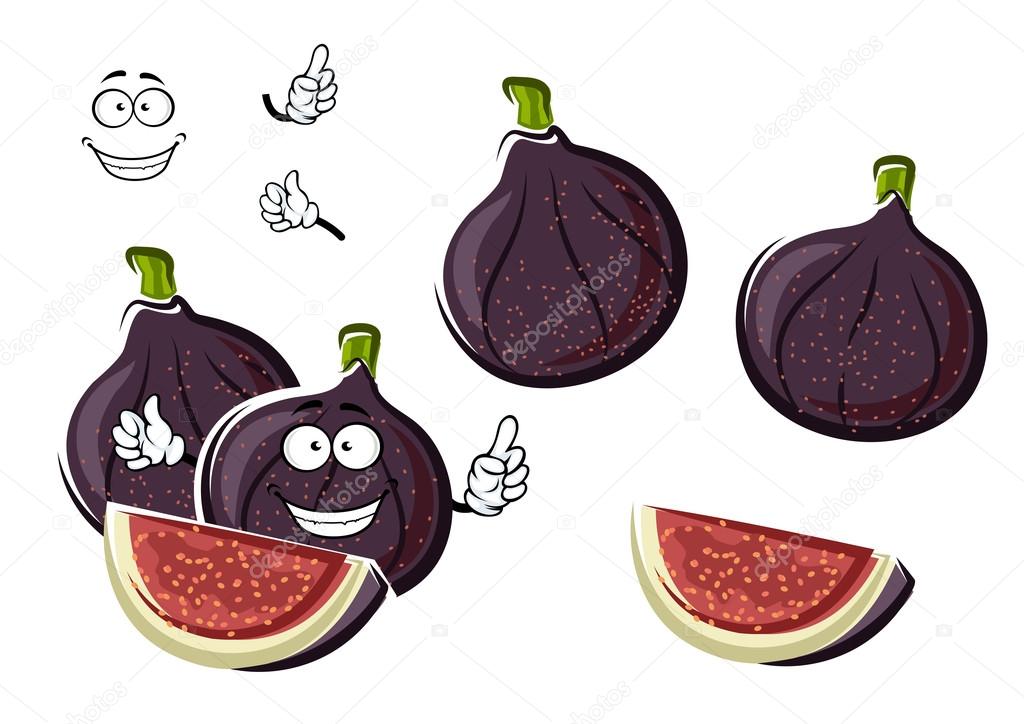Ripe purple fig fruits cartoon character