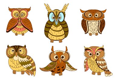 Cartoon funny owlets and eagle owl birds