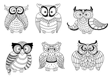 Decorative colorless owls and cute owlets