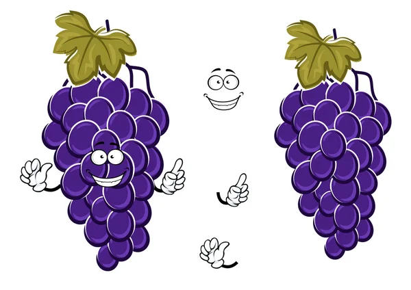 Cartoon ripe blue grape fruits on grapevine — Stockvector