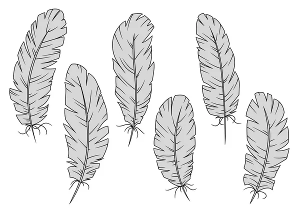 Isolated gray quill feathers set — Stock Vector