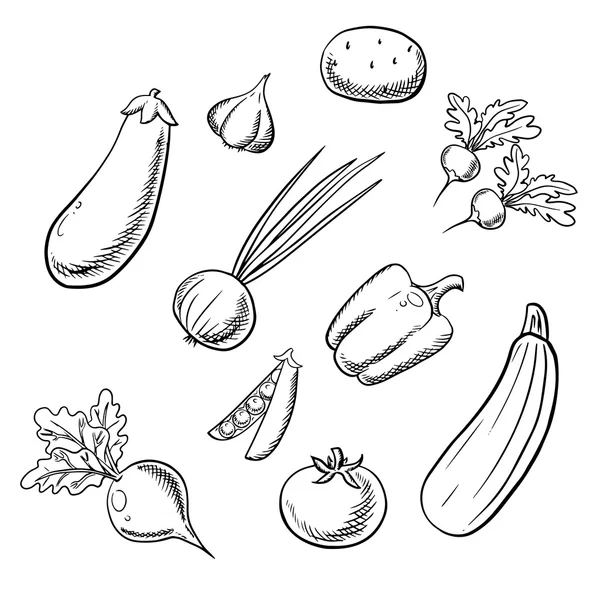 Légumes frais biologiques croquis icônes — Image vectorielle