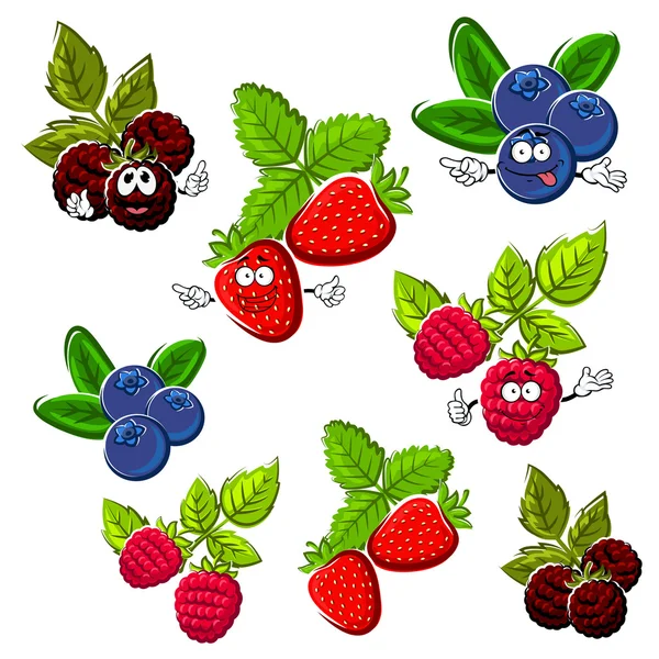 Erdbeere, Himbeere, Blaubeere und Brombeere — Stockvektor
