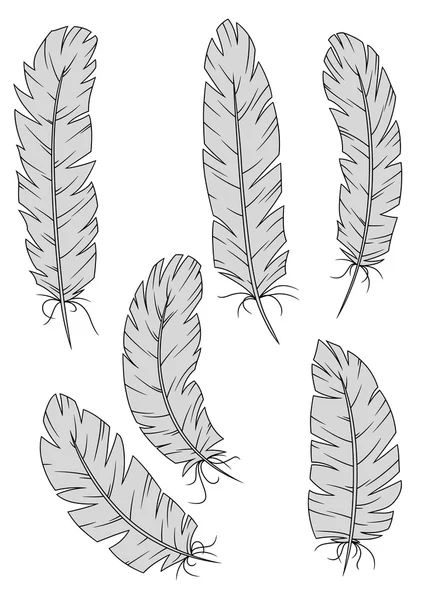 Isolated vintage quill feathers set — Stock Vector