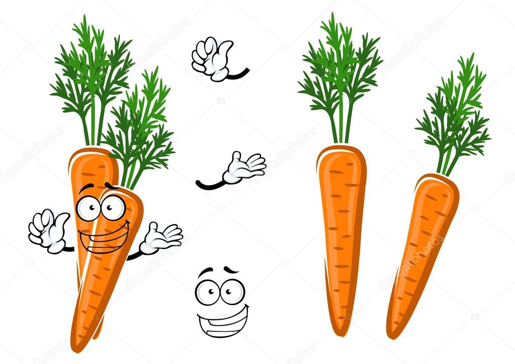 Cartoon ripe orange carrot vegetable