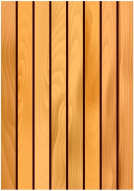 Wooden texture background with light maple planks