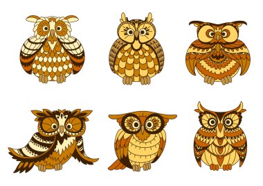 Cartoon owls with brown and orange plumage