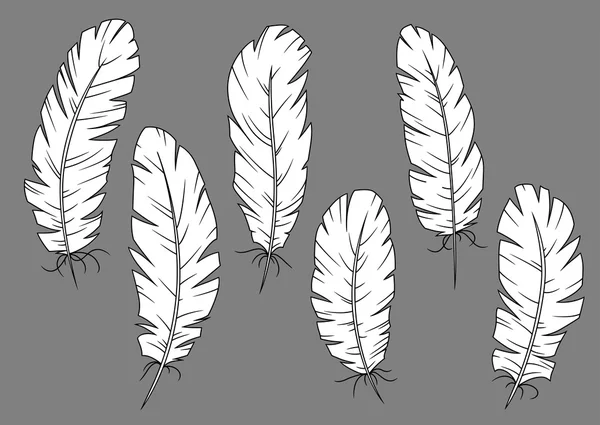 Quill pens icons with white fluffy feathers — ストックベクタ