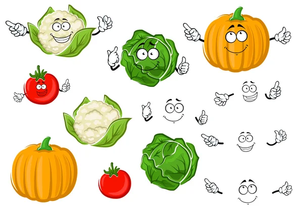 Cartoon tomato, cabbage, pumpkin and cauliflower — Stock Vector