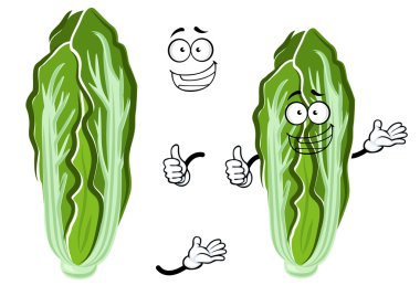 Cartoon happy chinese cabbage vegetable