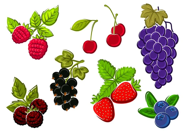 Isolated garden and wild berries fruits — 스톡 벡터