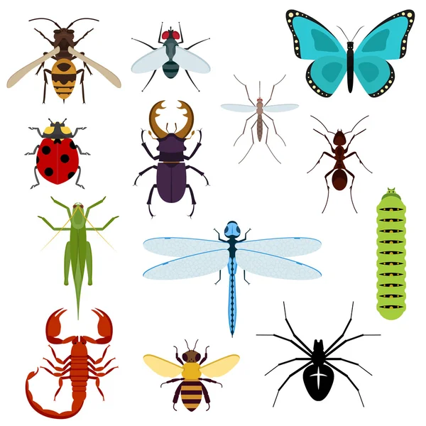 Karikatur isoliert bunte Insekten set — Stockvektor