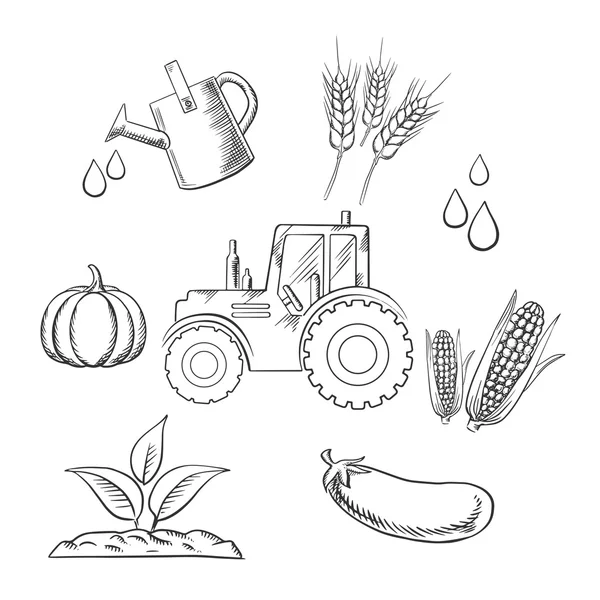 Agricultura y granja objetos esbozados — Archivo Imágenes Vectoriales