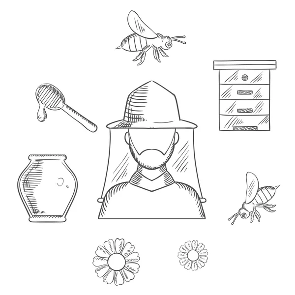 Beekeeping and apiary sketch icons — Stok Vektör