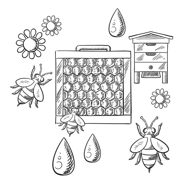 Beekeeping and apiary sketched objects — ストックベクタ