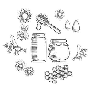 Beekeeping and fresh honey icons