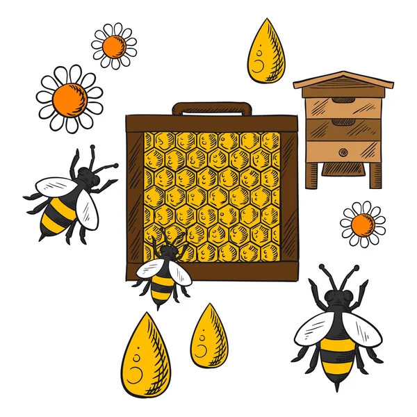 Lapos méhészeti fogalmat a méhkas és a méhek — Stock Vector