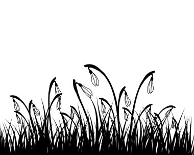 Kardelen ile bahar çayır