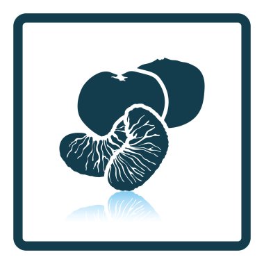 Mandarin illüstrasyon simge.