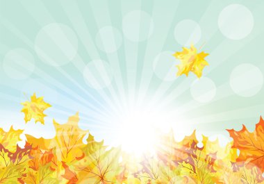 Yaz ve Bulgaristan'ın güzel şelale orman yeşil yaprakları 