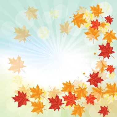 Yaz ve Bulgaristan'ın güzel şelale orman yeşil yaprakları 