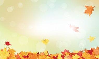 Yaz ve Bulgaristan'ın güzel şelale orman yeşil yaprakları 