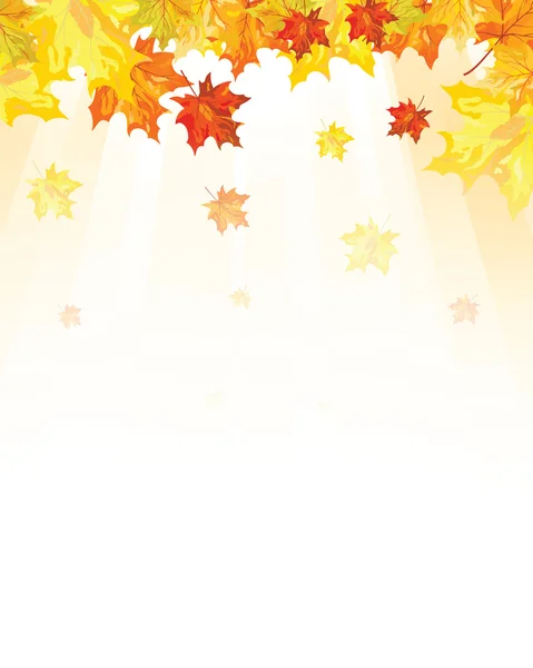 Autumn  Frame With Falling  Maple Leaves — Stock Vector