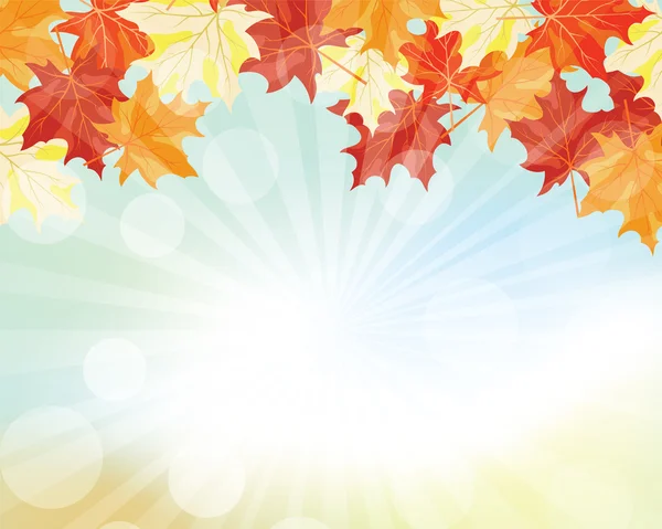 Осенняя рама с кленовыми листьями — стоковый вектор