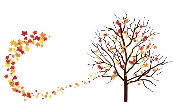 秋天的枫叶与一棵树 — 图库矢量图片