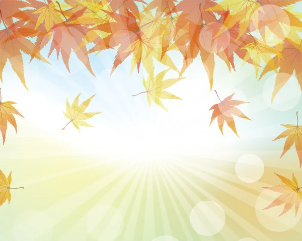 Autumn  frame with  maple leaves — Stock Vector