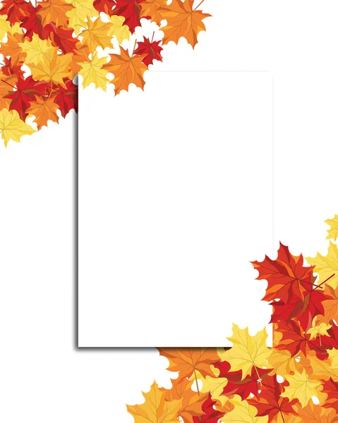Blank Sheet of Paper and Maple Leaves — Stock Vector