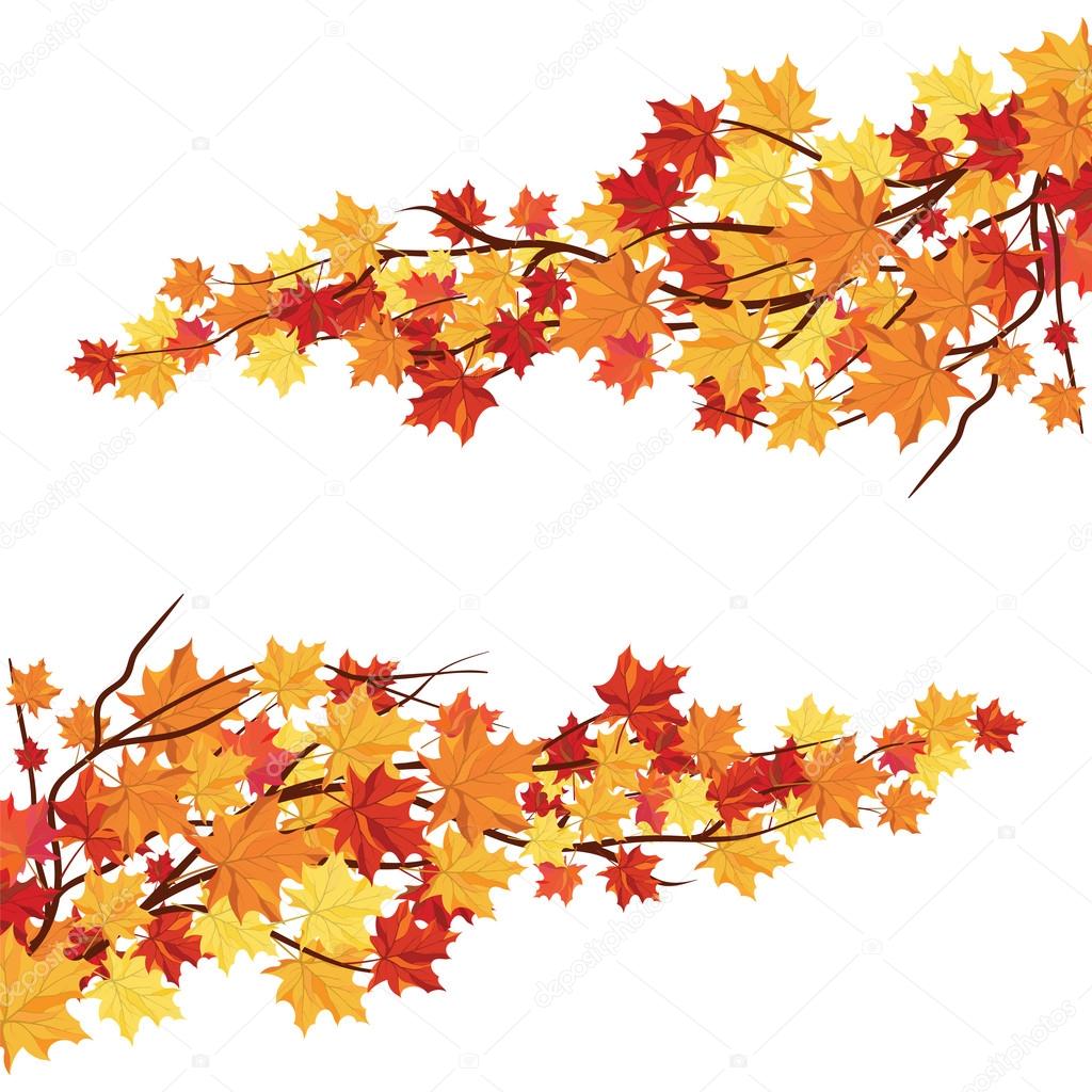 Autumn  Frame With Falling  Maple Leaves