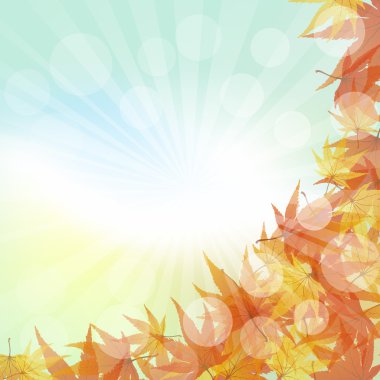 Yaz ve Bulgaristan'ın güzel şelale orman yeşil yaprakları 