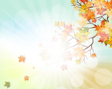 Yaz ve Bulgaristan'ın güzel şelale orman yeşil yaprakları 