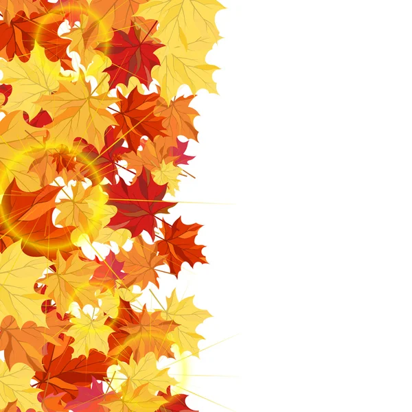 Cadre avec feuilles d'érable — Image vectorielle