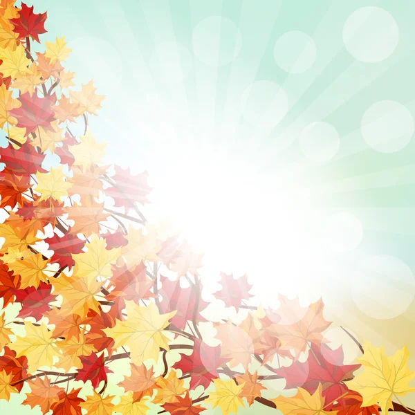 Marco de otoño con hojas de arce — Vector de stock