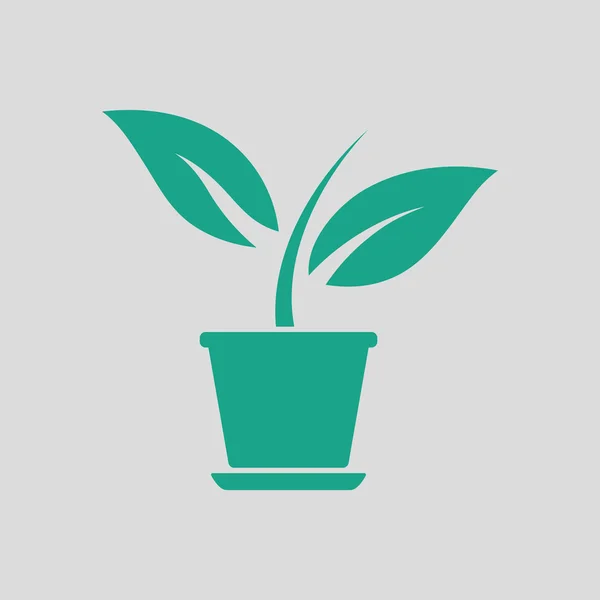 Planta en maceta icono — Vector de stock