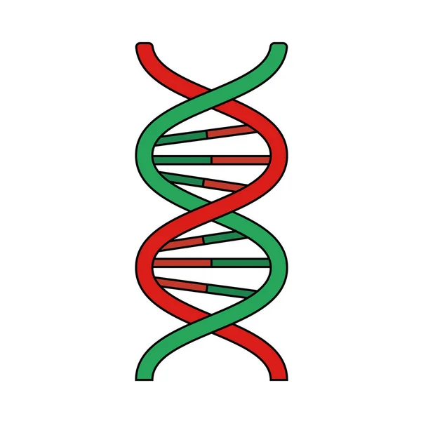 Ikona Dna Upravitelný Obrys Barevným Vzorem Vektorová Ilustrace — Stockový vektor