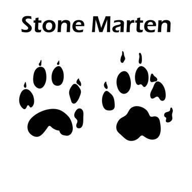 Stone Marten Footprint. Black Silhouette Design. Vector Illustration. clipart