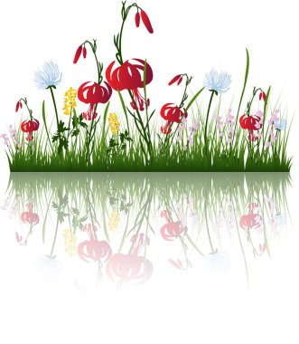 Arka plandaki çimen siluetlerini suda yansıtarak yönlendir. Tüm nesneler ayrılmıştır.