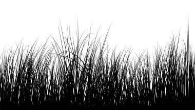 Meadow Grass Kusursuz Geçmişi. Siyah renklerde şirin, temiz ve pürüzsüz çayır sınır tasarımı. Tüm nesneler ayrılmıştır. Vektör İllüstrasyonu. 