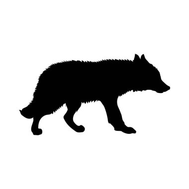 Çakal silueti. Düzgün ve temiz çizgiler. Yüksek detaylı Çakal silueti. Vektör İllüstrasyonu.