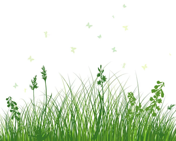 Green Spring Meadow Grass Fresh Color Plants Seasonal Growth Grass — Stock Vector