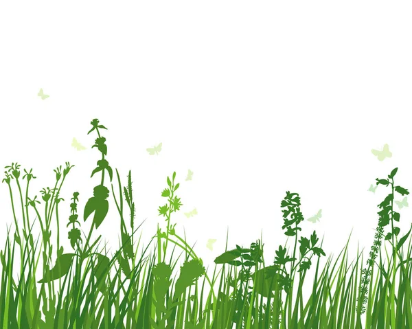 Зеленая Весенняя Трава Свежие Цветные Растения Сезонная Трава Отдельные Ботанические — стоковый вектор