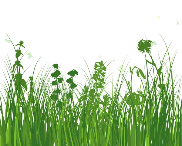 Herbe Verte Des Prairies Printanières Plantes Couleur Fraîche Herbe Croissance — Image vectorielle