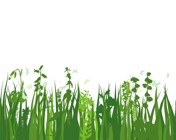 Зелена Весняна Лугова Трава Свіжі Кольорові Рослини Сезонна Трава Росту — стоковий вектор